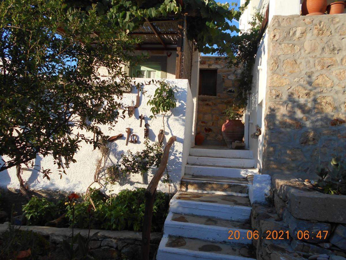 Sapsila Patmos Mathios Studios- Apartments מראה חיצוני תמונה